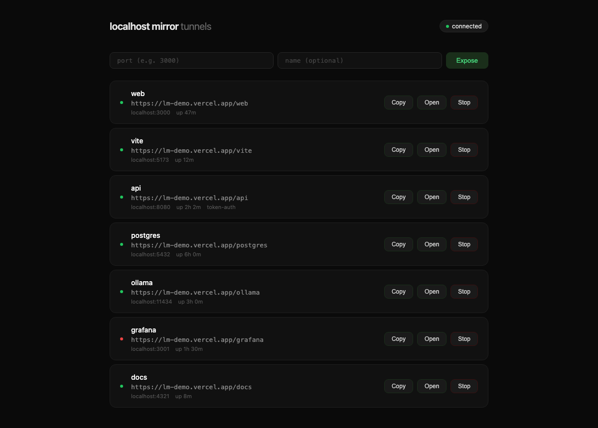Localhost Mirror preview